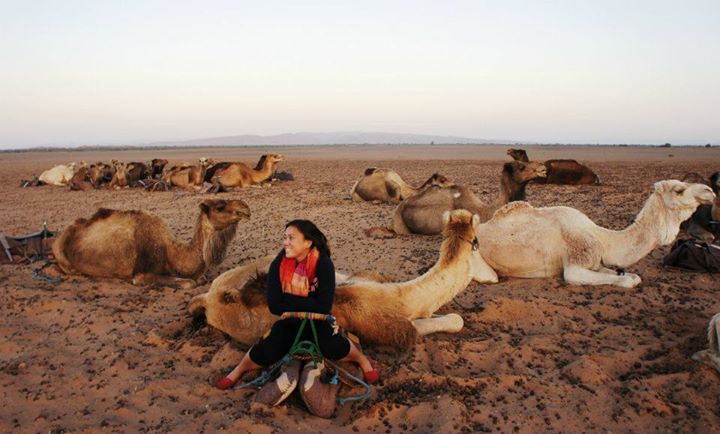 Peace Corps volunteer sitting on in a group of camels in Morocco